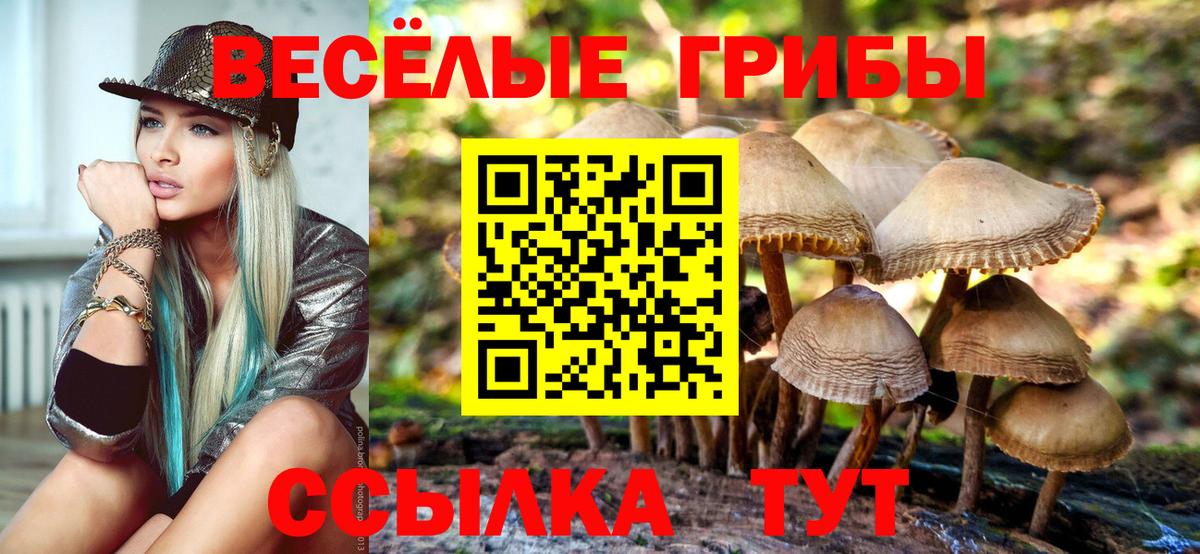 Галлюциногенные грибы мицелий  Псилоцибиновые грибы MAGIC MUSHROOMS  Вход с VPN  Краснознаменск 